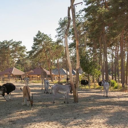 Safari Resort Beekse Bergen Hilvarenbeek Exterior foto